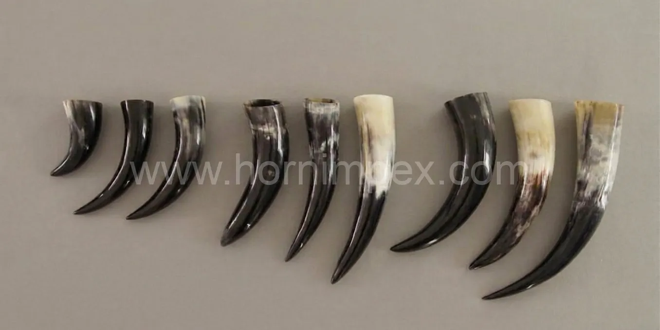 Handcrafted Buffalo Horn Drinking Horn Manufacturer USA Exported from India