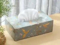 Tissue Boxes & Covers Category Gallery Image 13