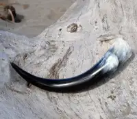 Handcrafted Buffalo Horn Drinking Horn – Wholesale & Export Quality - Front View
