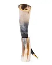 Natural Buffalo Horn Showpiece – Golden Tipped with Stand – 12 Inches Decorative Accent | HornImpex - Front View