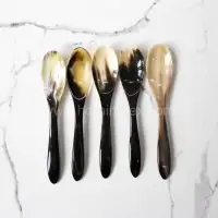 Natural Buffalo Horn Spoon Set – Handmade Eco-Friendly Cutlery by HornImpex - Front View