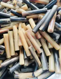 Buffalo Horn Rods – Premium Raw Material for Crafts & Buttons - Front View