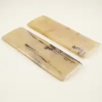 Light Buffalo Horn Knife Scales – Polished Handle Blanks from India - Front View