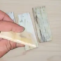 Cattle Horn Plate – White | Raw Material Manufacturer & Exporter from India - Second View