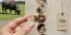 Handcrafted buffalo horn buttons by Sambhal artisans”
